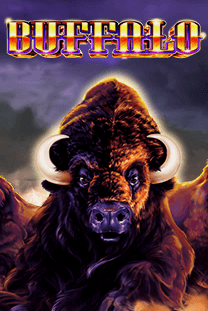 Buffalo