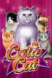 Cutie Cat