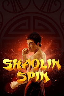 Shaolin Spin
