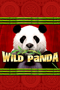 Wild Panda